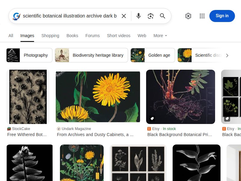 Botanical illustrations on dark backgrounds