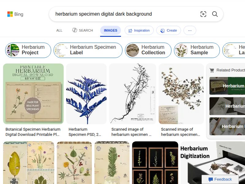 Digital herbarium specimens