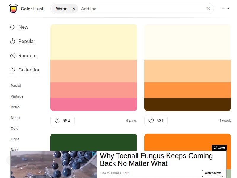 Color Hunt Warm Palettes