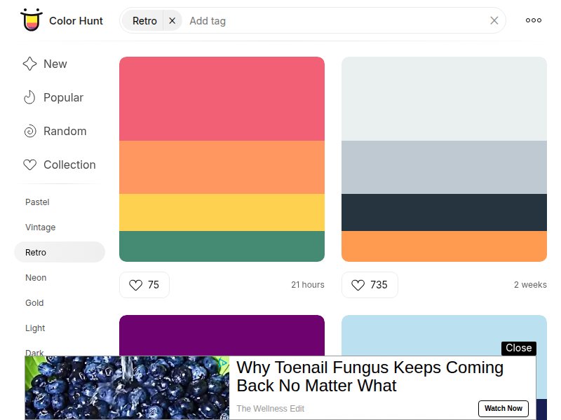 Color Hunt - Retro Palettes