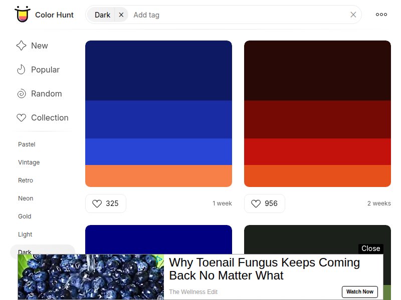 Color Hunt - Dark Palettes